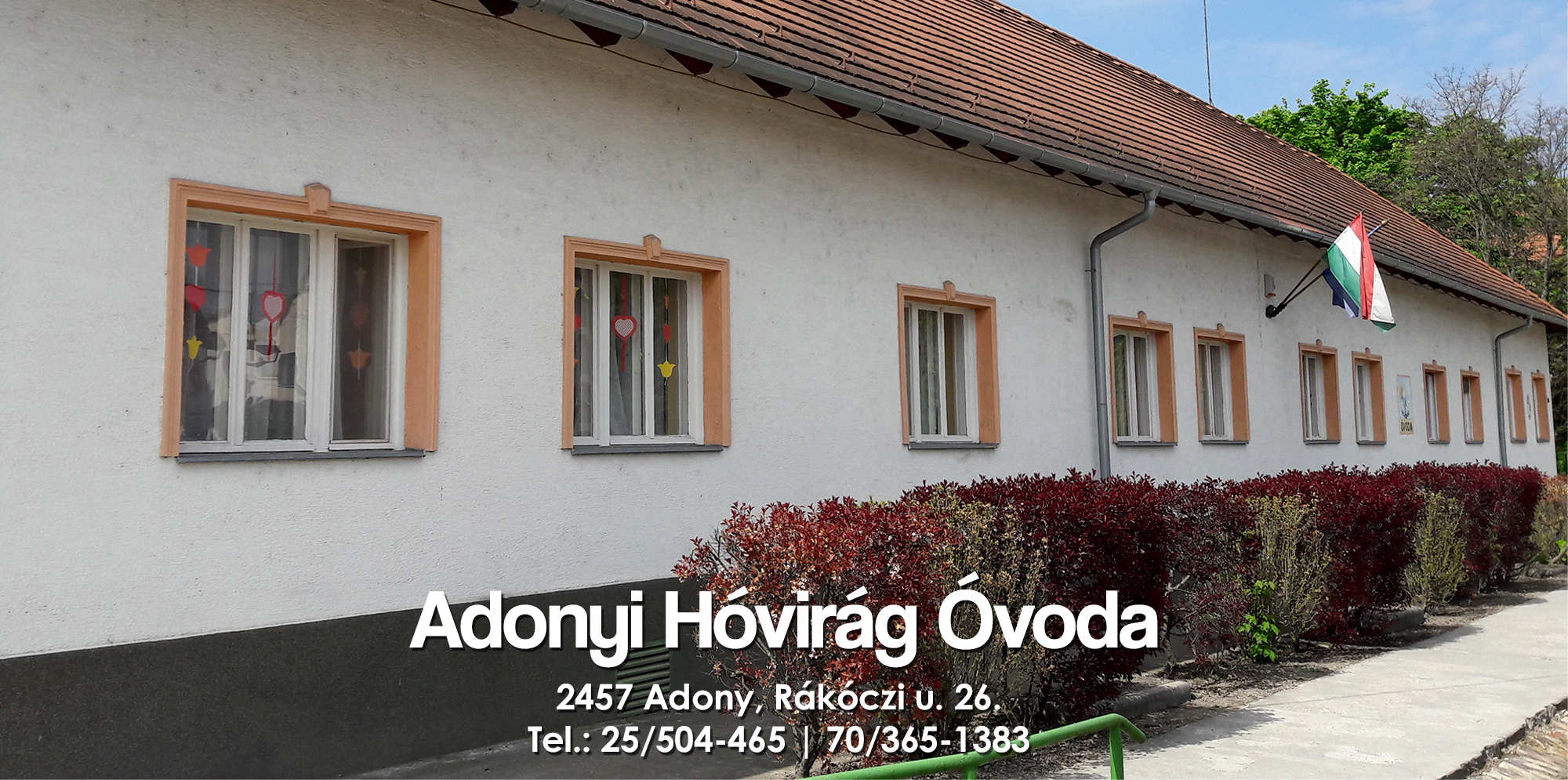 adonyi ovi kezd